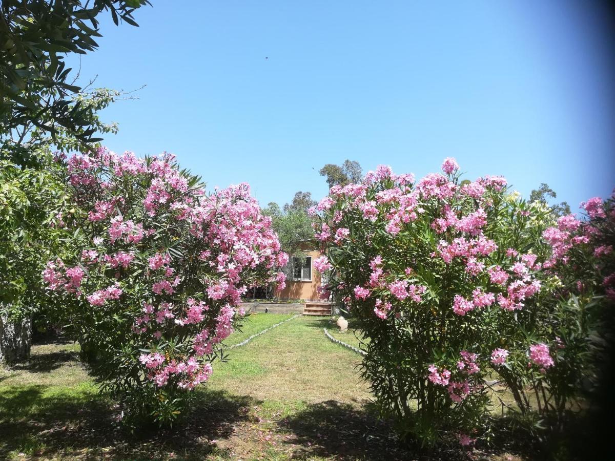 Tortolì Villa Olia מראה חיצוני תמונה