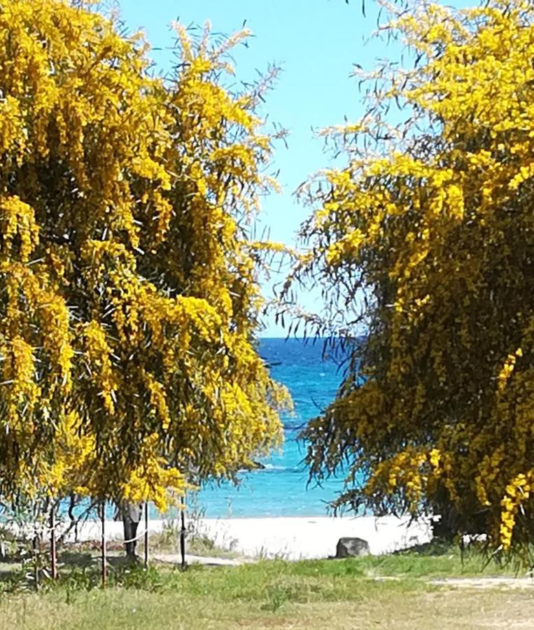 Tortolì Villa Olia מראה חיצוני תמונה